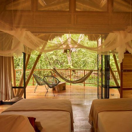 Bosque Guardian Lodge ตาราโปโต ภายนอก รูปภาพ