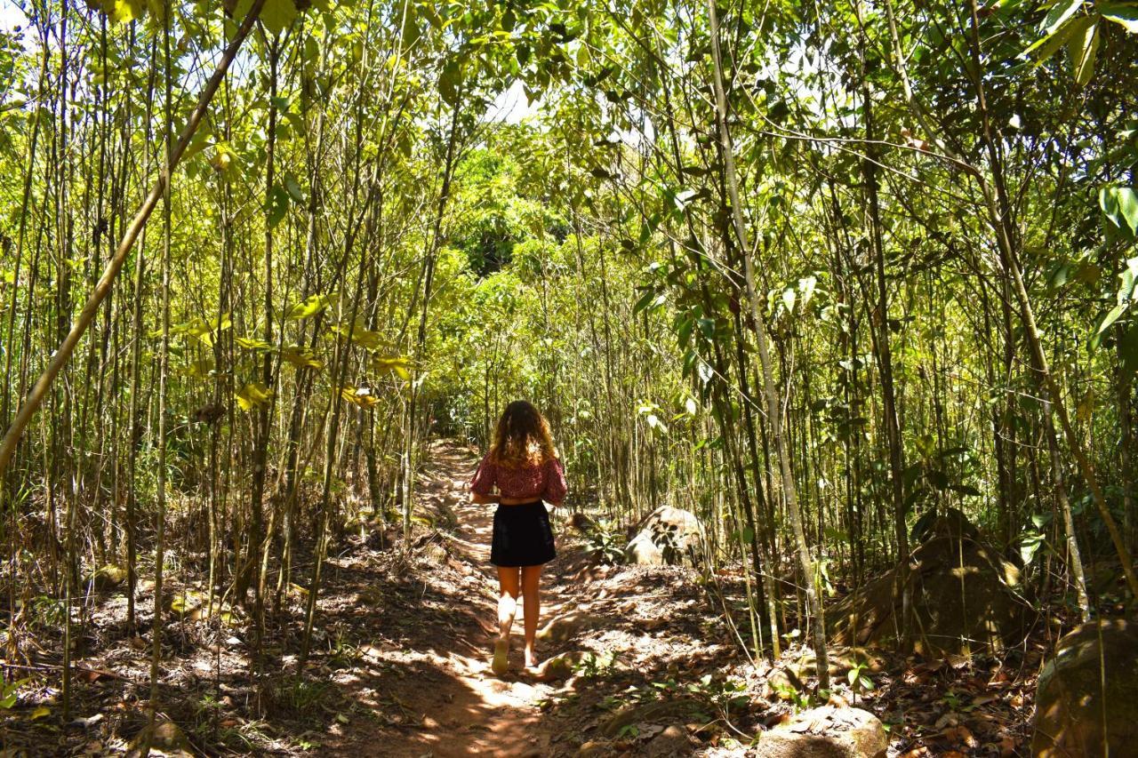 Bosque Guardian Lodge ตาราโปโต ภายนอก รูปภาพ