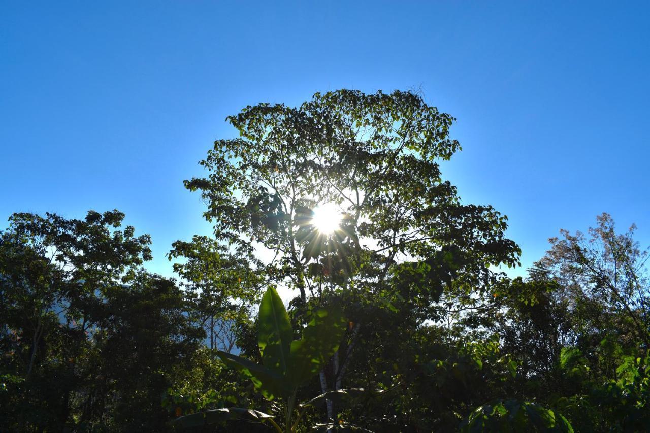 Bosque Guardian Lodge ตาราโปโต ภายนอก รูปภาพ