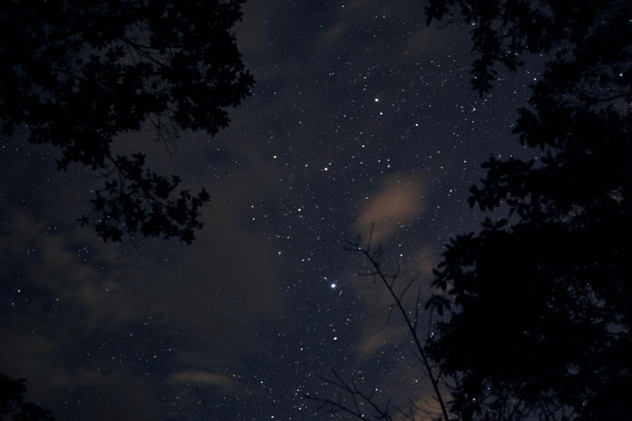 Bosque Guardian Lodge ตาราโปโต ภายนอก รูปภาพ
