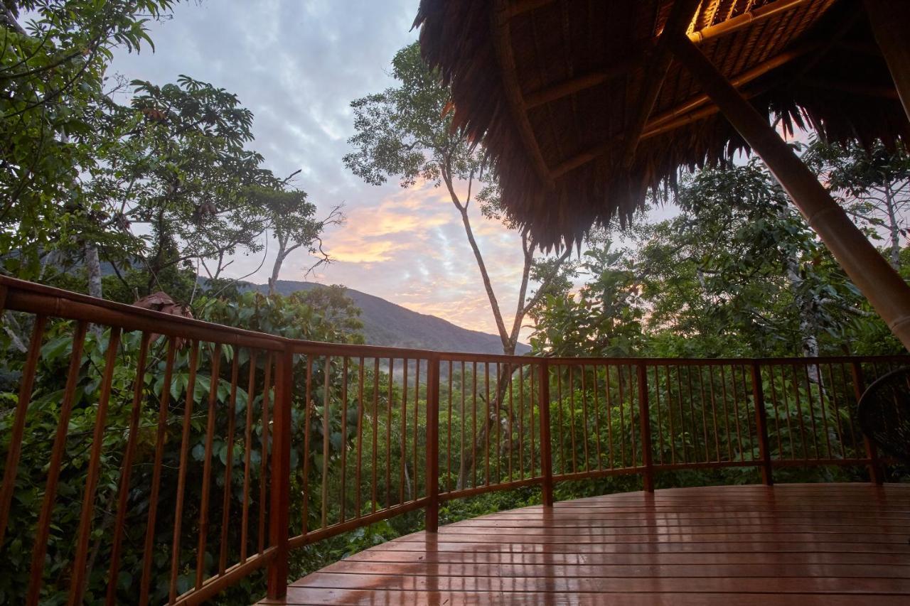Bosque Guardian Lodge ตาราโปโต ภายนอก รูปภาพ