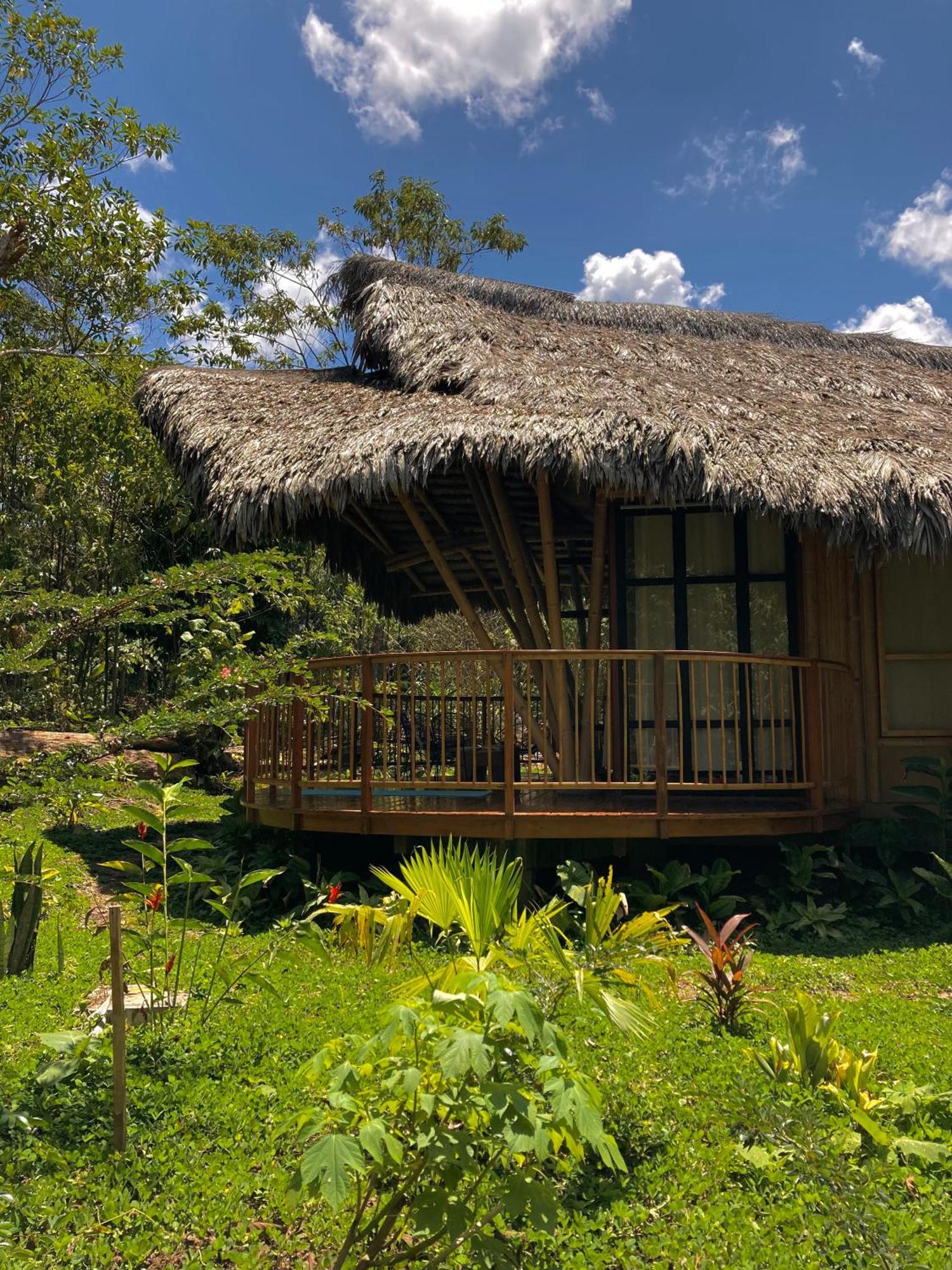 Bosque Guardian Lodge ตาราโปโต ภายนอก รูปภาพ