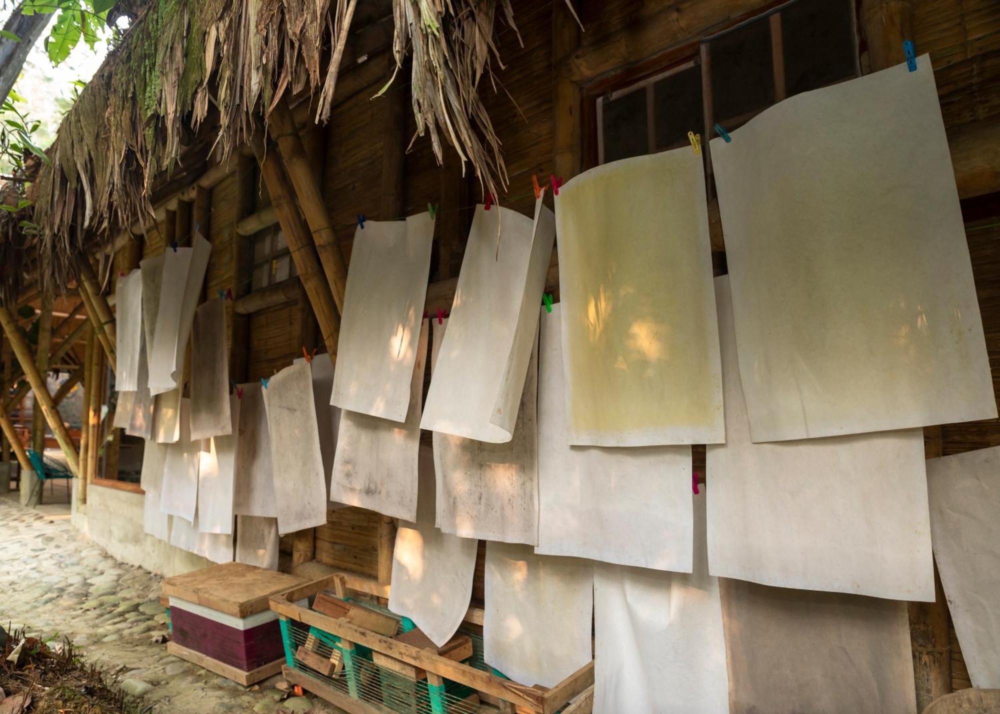 Bosque Guardian Lodge ตาราโปโต ภายนอก รูปภาพ