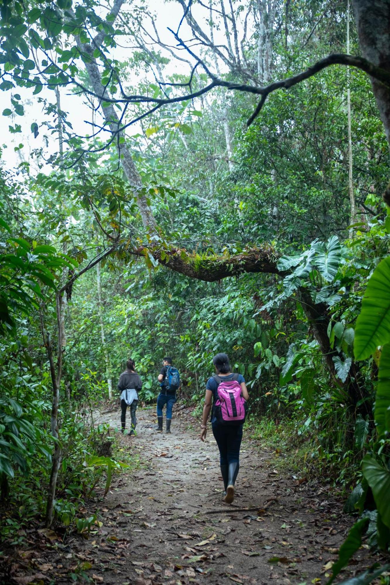 Bosque Guardian Lodge ตาราโปโต ภายนอก รูปภาพ
