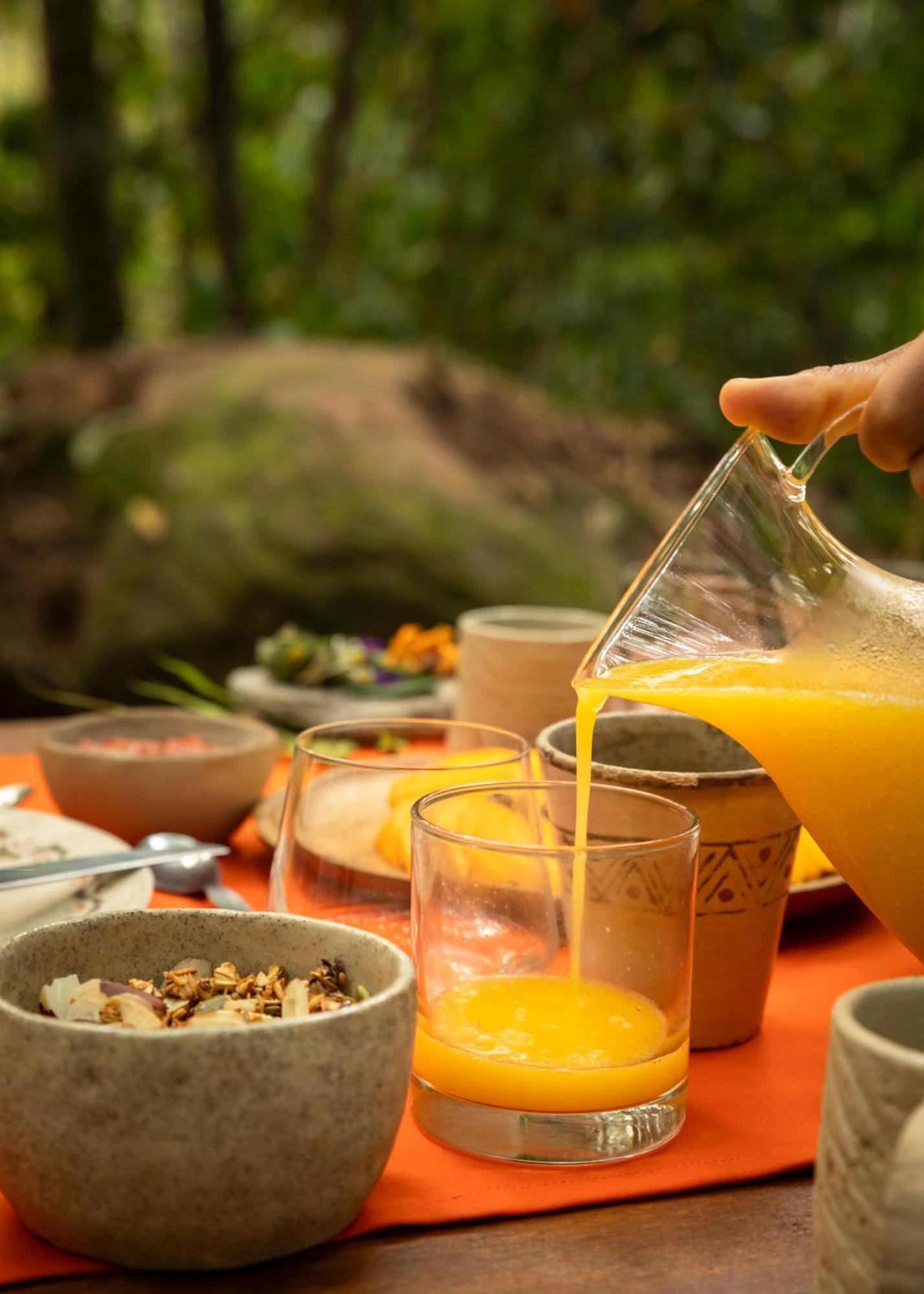 Bosque Guardian Lodge ตาราโปโต ภายนอก รูปภาพ