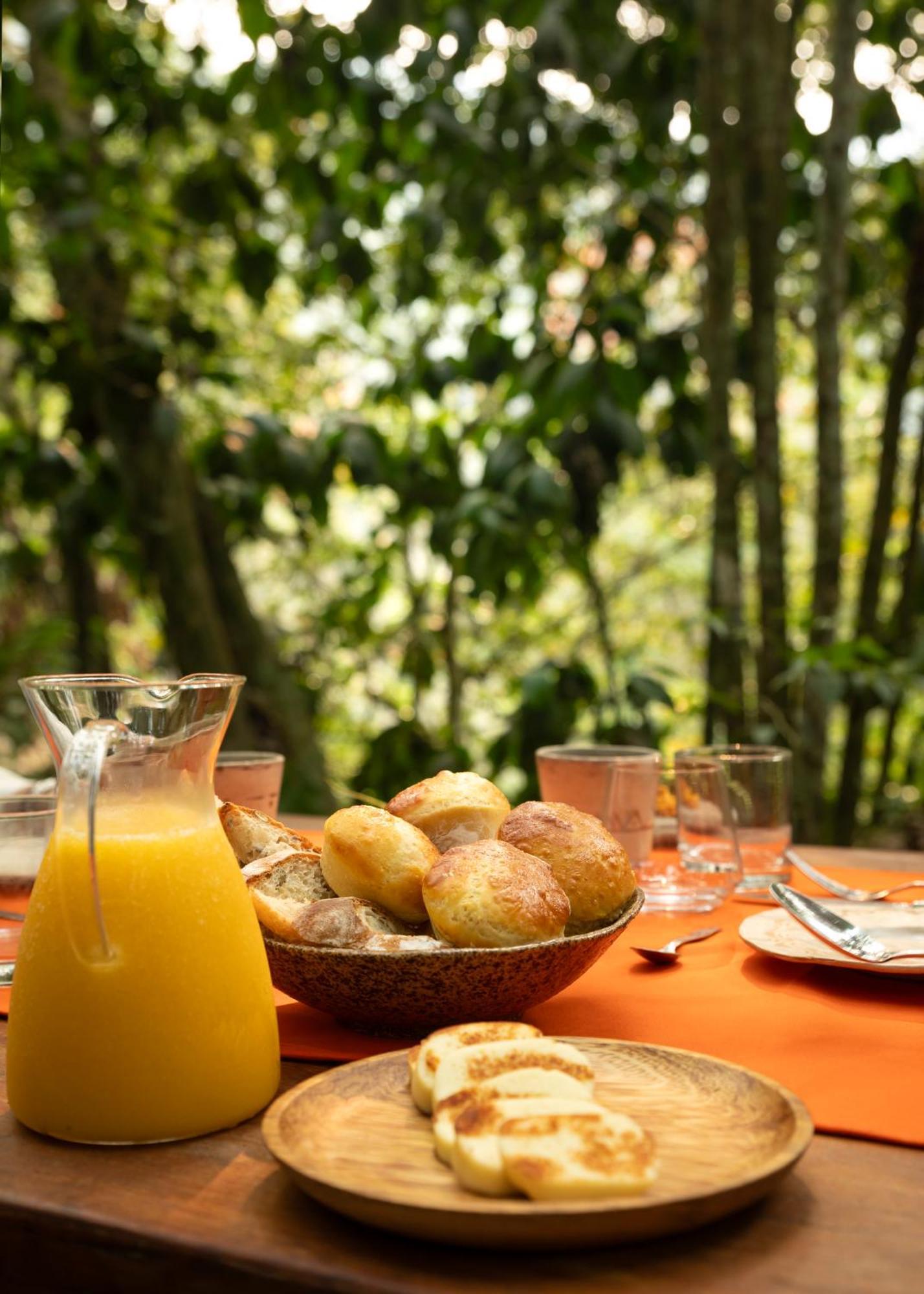 Bosque Guardian Lodge ตาราโปโต ภายนอก รูปภาพ