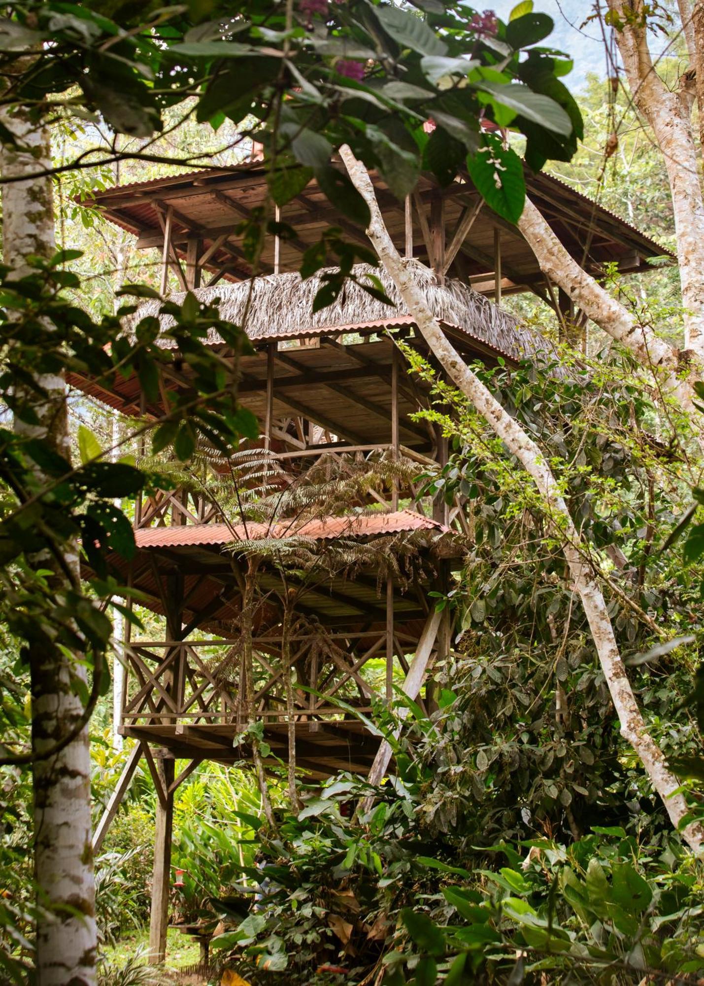 Bosque Guardian Lodge ตาราโปโต ภายนอก รูปภาพ