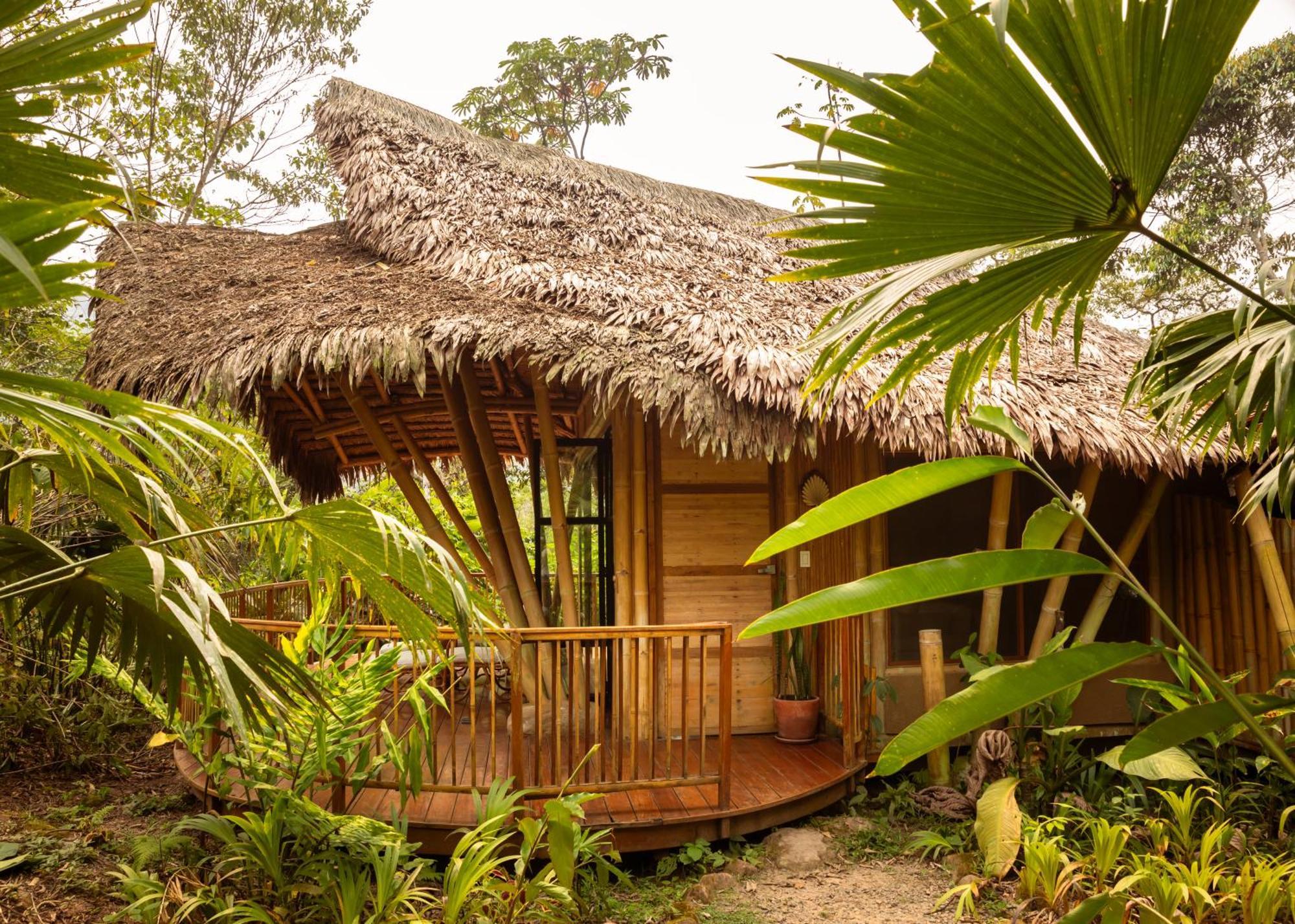 Bosque Guardian Lodge ตาราโปโต ภายนอก รูปภาพ